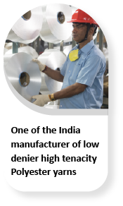 Manufacturer Of Low Denier High Tenacity Polyester Yams - Key Milestone
